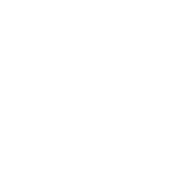 closeIcon